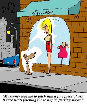 Toon of the Day